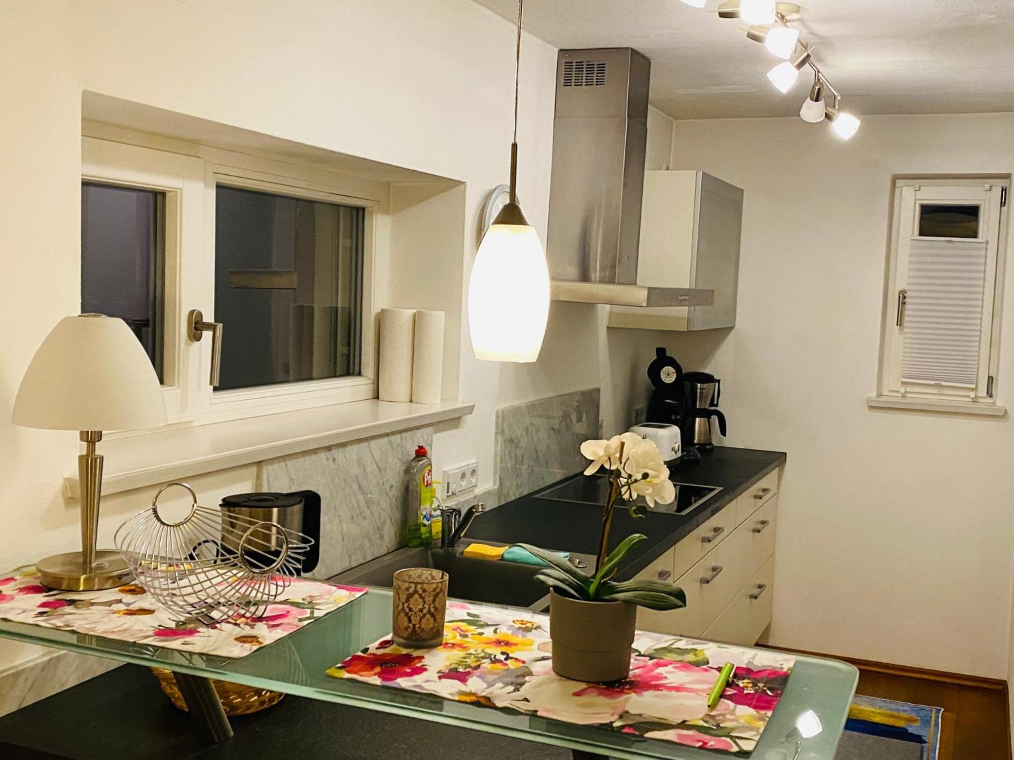 Fewo Luxus Wohnung Im Eigenen Ferienhaus, 120 Qm, Naehe Regensburg Mit Balkon, Terrasse & Garten, Gute Zuganbindung Laber Exteriör bild